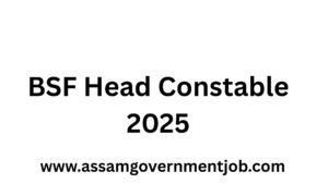 BSF Head Constable